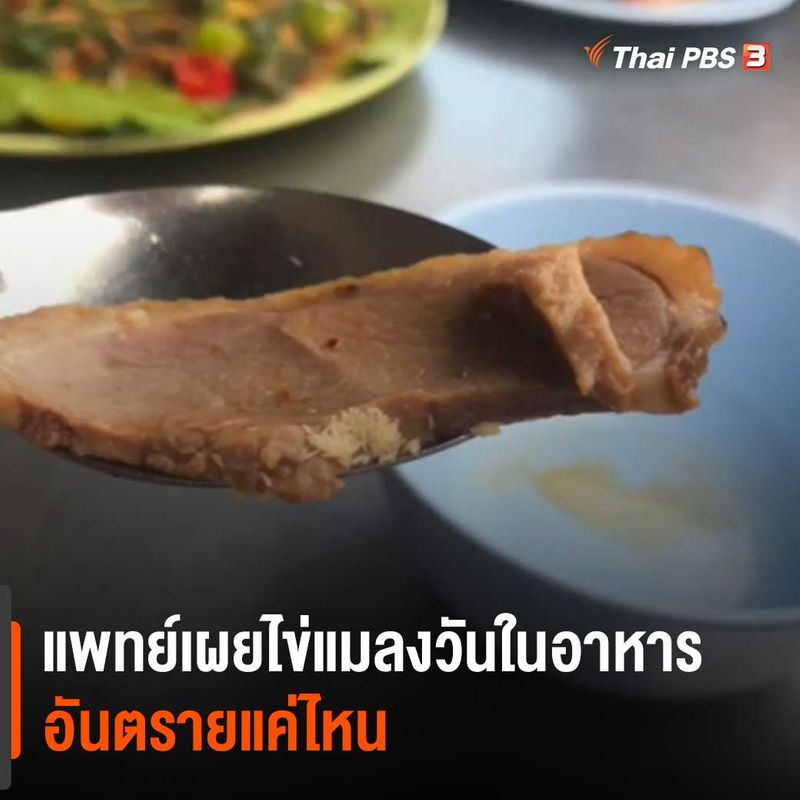 รายการ 94+ ภาพ เป็ดพะโล้ไข่แมลงวัน คมชัด รายการ 94+ ภาพ เป็ดพะโล้ไข่แมลงวัน คมชัด