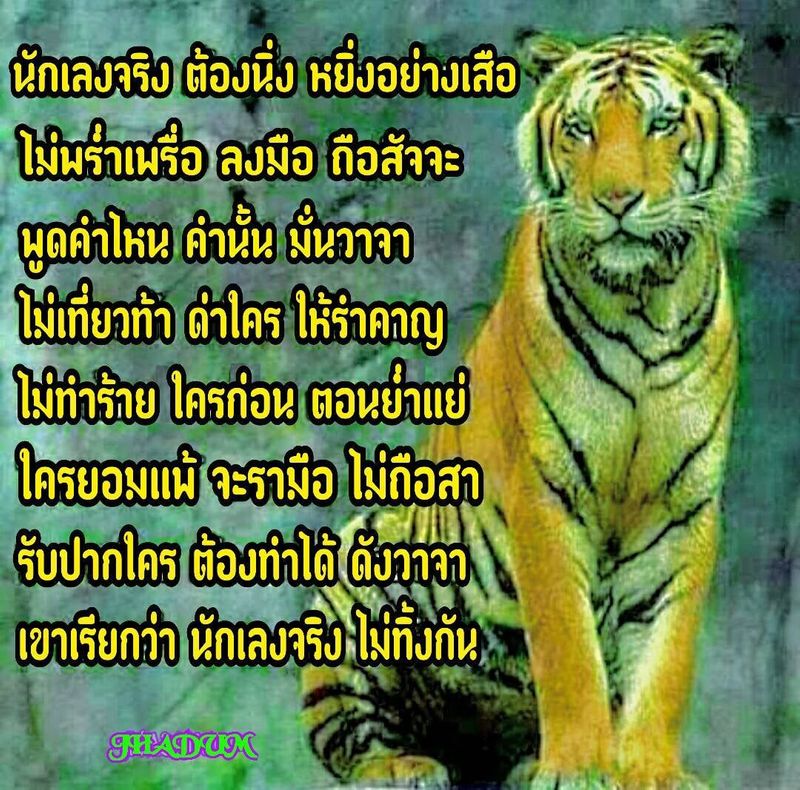 My Image 49