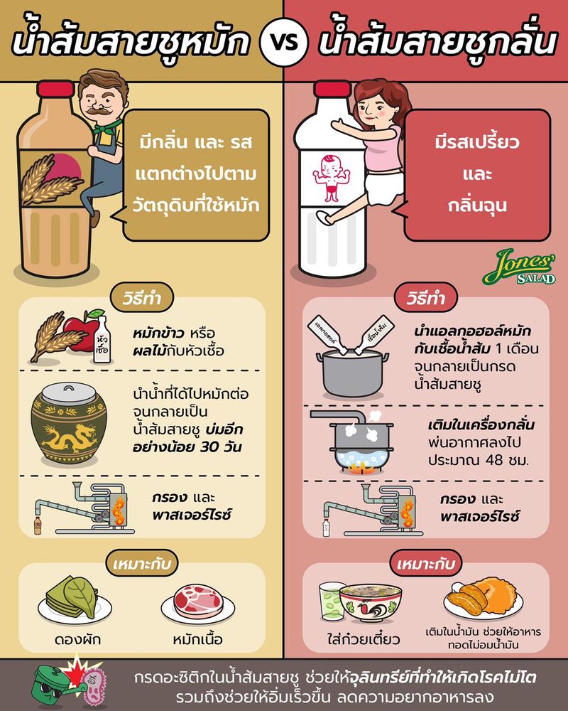 รวมกัน 104+ ภาพพื้นหลัง แบคทีเรียชนิดใดใช้ในการผลิตน้ําส้มสายชู คมชัด รวมกัน 104+ ภาพพื้นหลัง แบคทีเรียชนิดใดใช้ในการผลิตน้ําส้มสายชู คมชัด