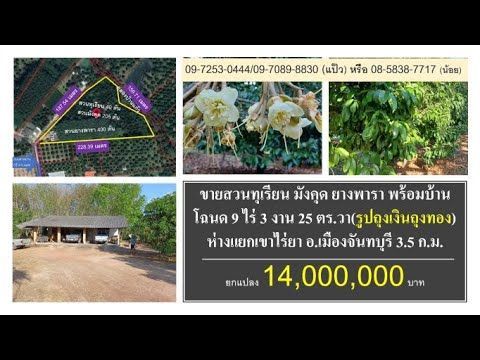 #ขายสวน #ทุเรียน #มังคุด #ยาง #บ้าน #โฉนด9ไร่ #ท่าใหม่ #จันทบุรี #14ล้าน #Durian #Thailand #榴蓮 #山竹