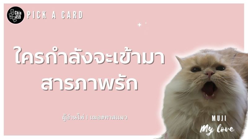 Pick a Card ใครจะเข้ามาสารภาพรักกับคุณ Timeless