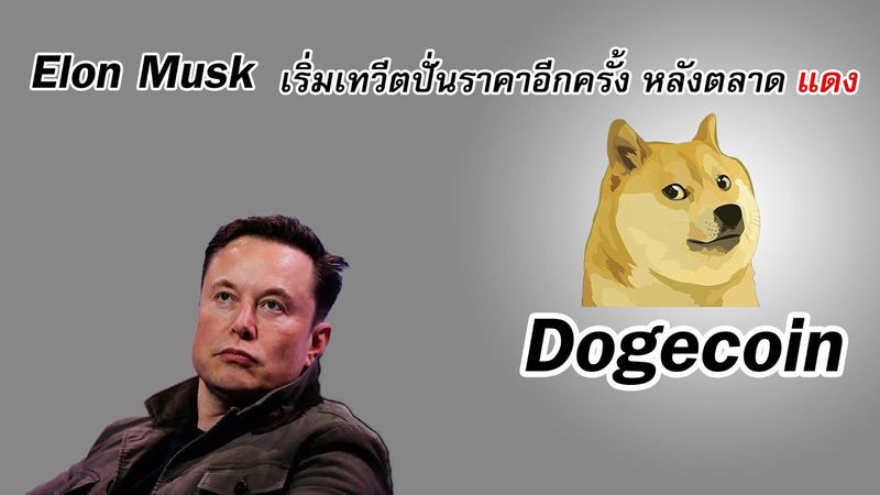 อัปเดตข่าวและราคาDogecoin (DOGE) หลังElon Musk เริ่มทวีตปั่นราคา ติดตามข่าวBaby DogecoinและShiba Inu