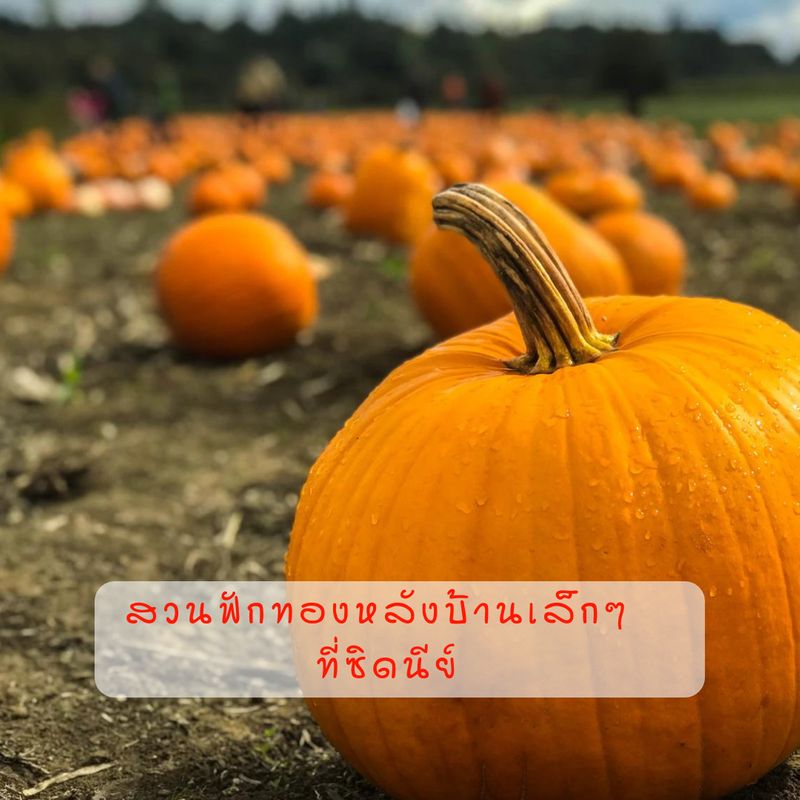 My Image 26
