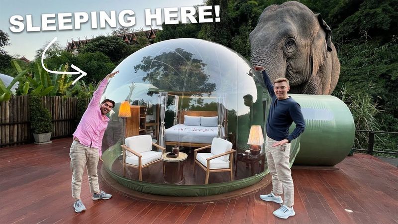 Our Tiny BUBBLE HOME In The Thai Jungle (sleeping with elephants)