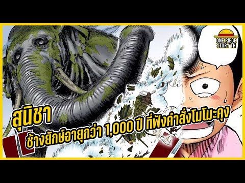 วันพีซ - สุนิชา ช้างยักษ์อายุกว่า 1,000 ปีที่เดินมาวะโนะคุนิ