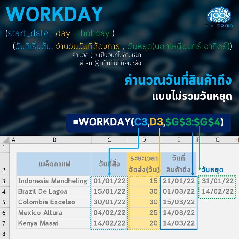 the-brain-workday-start-date-day-holiday