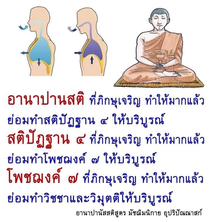 My Image 10