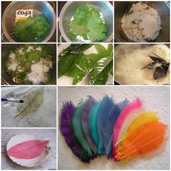 Wonderful DIY Beautiful Skeleton Leaves