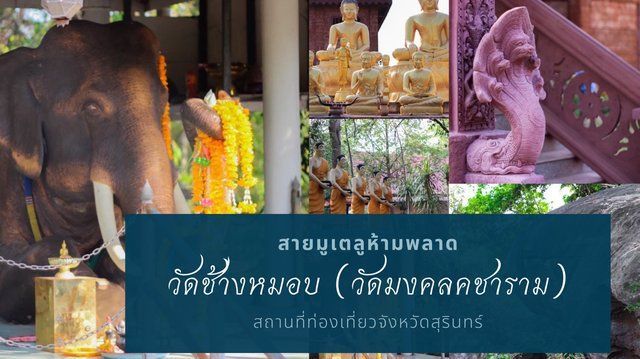 วัดช้างหมอบ (วัดมงคลคชาราม) สายมูเตลูห้ามพลาด