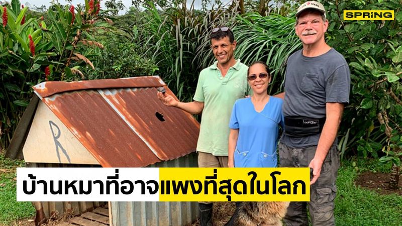 จะปิดประมูลแล้ว! บ้านหมาที่แพงที่สุดเพราะอุกกาบาตตกใส่