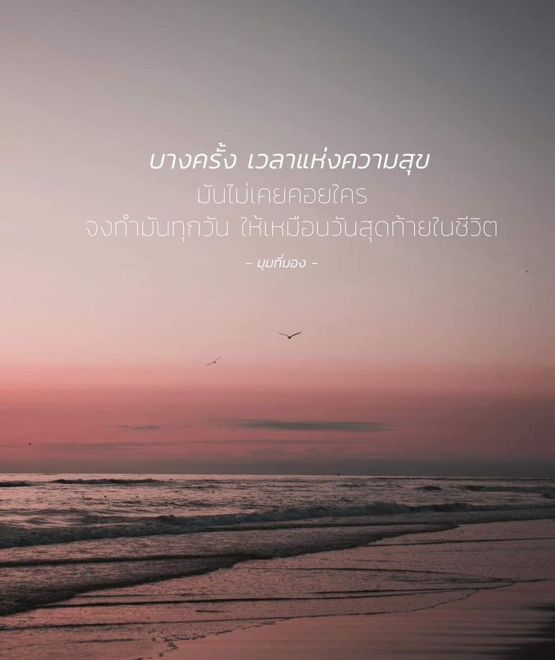 My Image 61