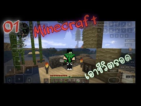 Untitled video