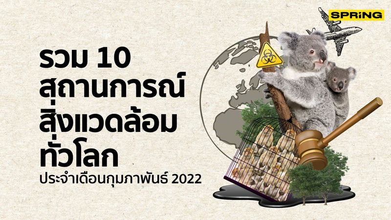 รวม 10 ข่าวสิ่งแวดล้อมประจำเดือนกุมภาพันธ์ 2565