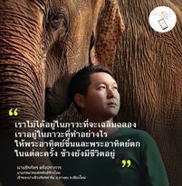 SDG Wings Thailand trên Facebook Watch