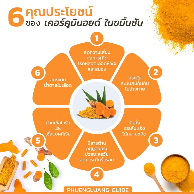 [Spice History รอบรู้เรื่องสมุนไพร] Phuengluang Guide l 6 ประโยชน์ของขมิ้นชัน สมุนไพรที่มีการ