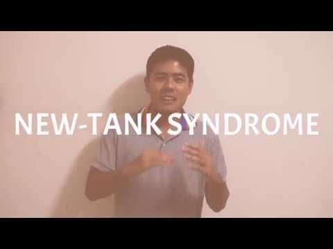 อธิบายเรื่อง New Tank Syndrome ปัญหาที่คนตั้งตู้ใหม่มักเจอ