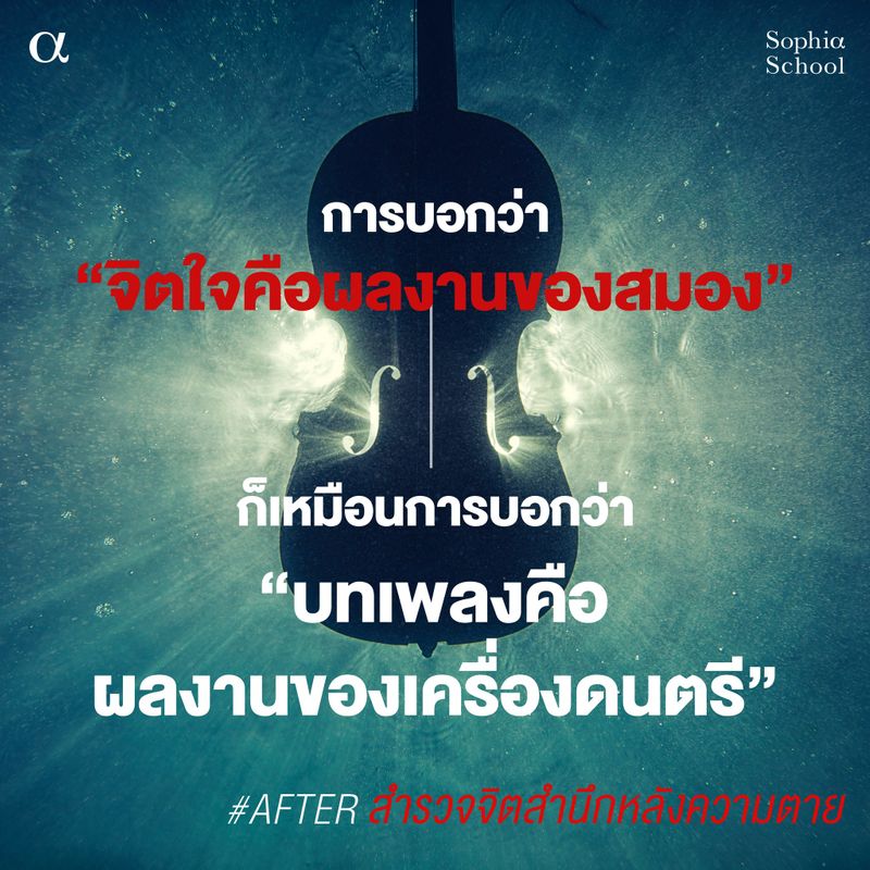 My Image 12