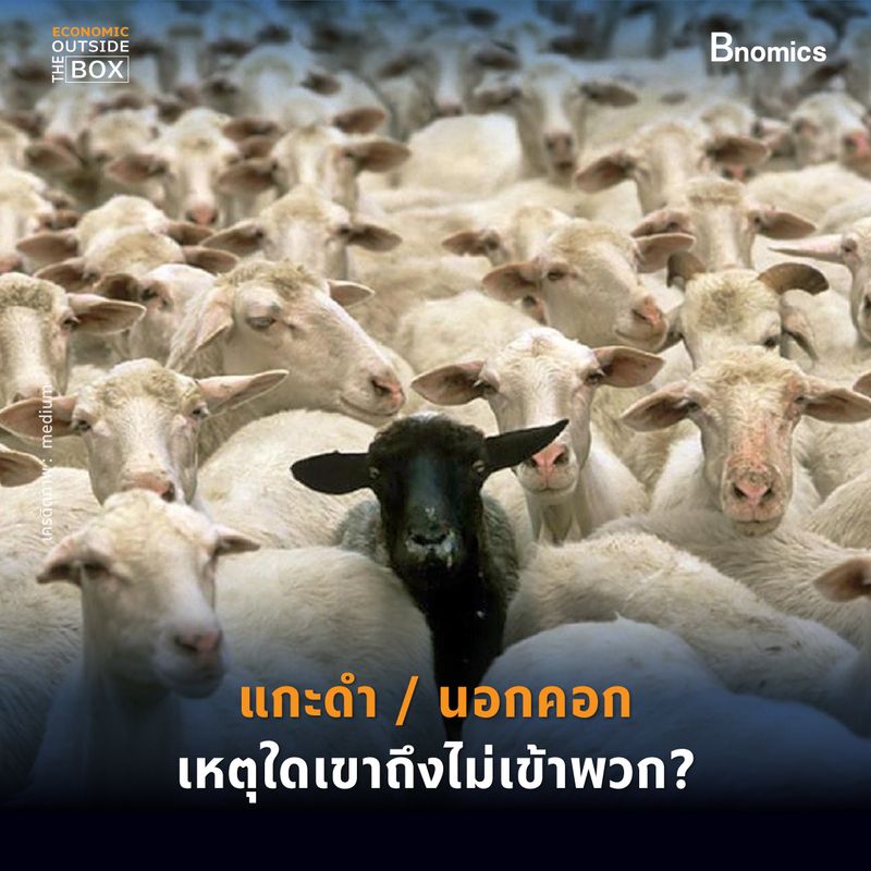 รายการ 95+ ภาพพื้นหลัง แกะดำความหมายโดยตรง ความละเอียด 2k, 4k