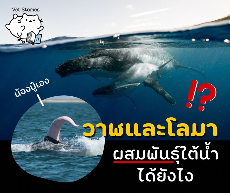 My Image 48