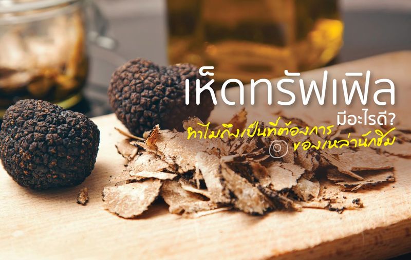 ทรัฟเฟิล Truffle คือ? ทำไมถึงเป็นที่ต้องการของเหล่านักชิม