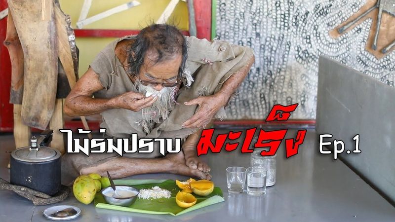 ไม้ร่มปราบมะเร็ง Ep.1 (Mairom Thammachati-asoka)