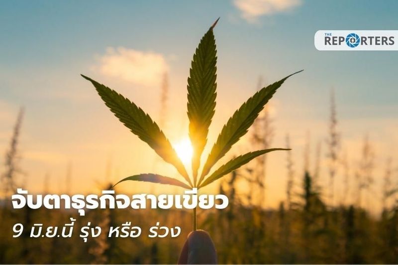 จับตาธุรกิจสายเขียว 9 มิ.ย.นี้ จะ ‘รุ่ง’ หรือ ‘ร่วง’