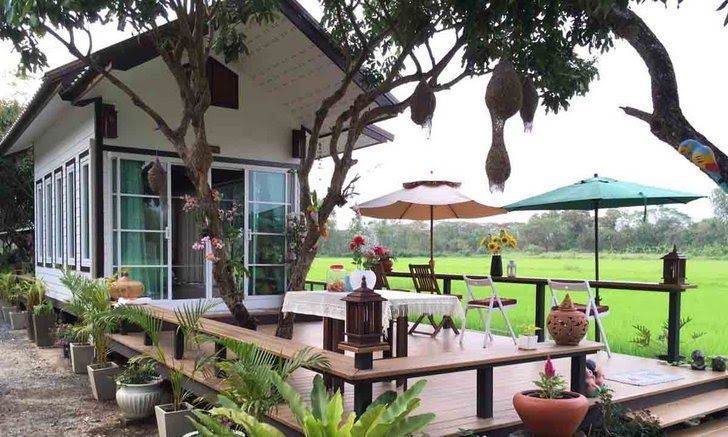 แบบบ้านสวนริมทุ่งนา มีลานนั่งชมทุ่งนาเขียวขจี