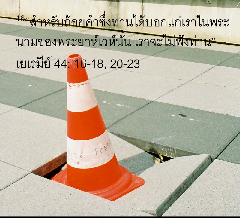 My Image 71