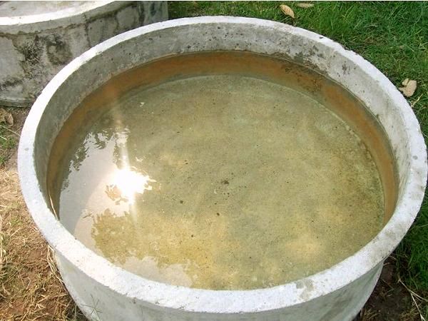 เกษตรกร พอเพียง วิถีใหม่] การเลี้ยงปลาดุกในบ่อซีเมนต์ เลี้ยงง่าย ๆ 