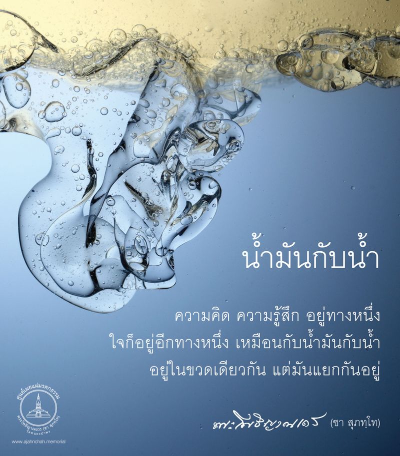 My Image 4