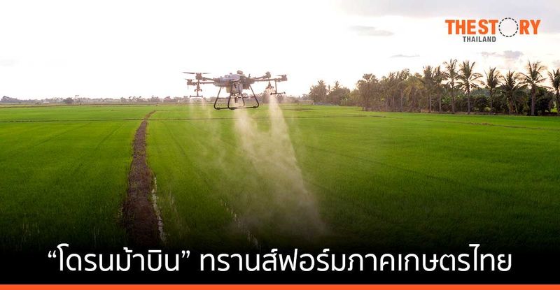 “โดรนม้าบิน” ยกระดับคุณภาพพืชเศรษฐกิจ และทรานส์ฟอร์มภาคเกษตรไทย | The Story Thailand