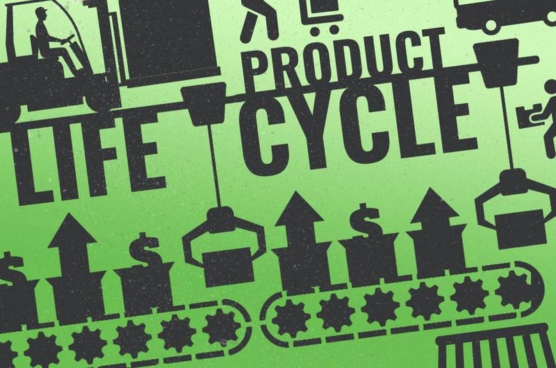 What Is the Product Life Cycle? Stages and Examples