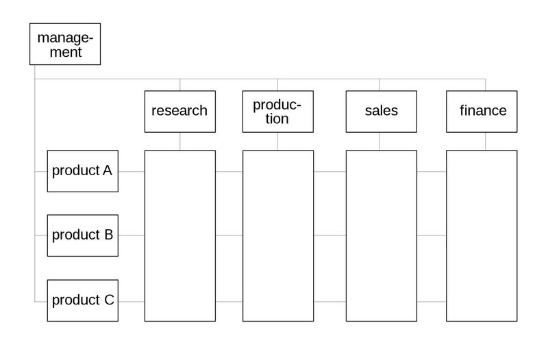 Matrix management - Wikipedia