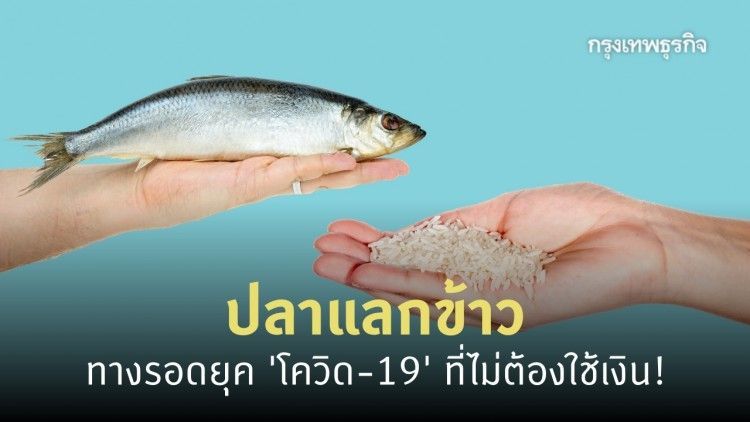 ข้าวแลกปลา : ทางรอดในวิกฤติ ‘โควิด-19’ ของกลุ่มชาติพันธุ์