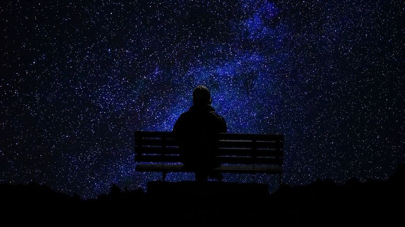 เพราะมีความเหงา เราจึงอยู่รอด - The Observing Mind