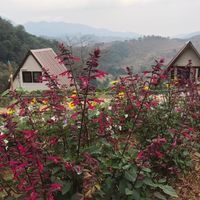 ดอยวาวฟาร์ม Doivow Farm