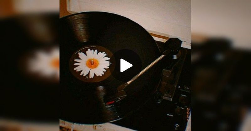 ไม่เคย ( Vinyl Record )