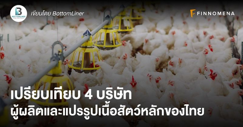 เปรียบเทียบ 4 บริษัท ผู้ผลิตและแปรรูปเนื้อสัตว์หลักของไทย - FINNOMENA