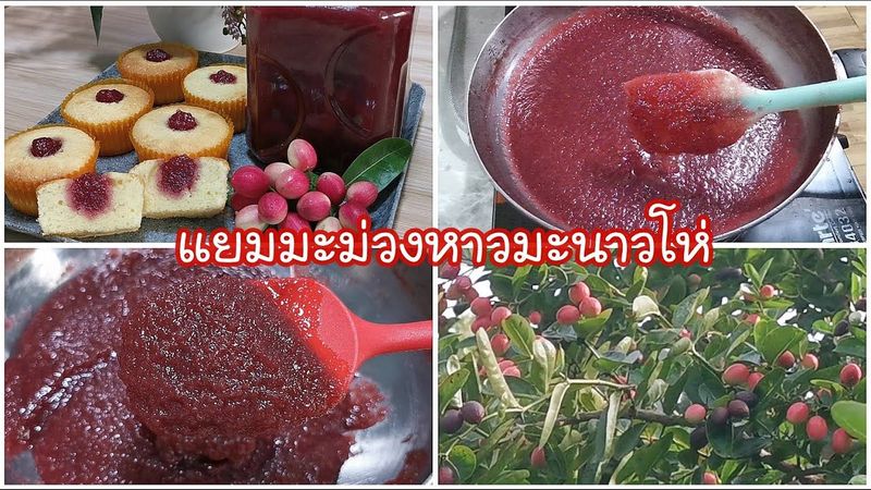 แยมมะม่วงหาวมะนาวโห่ แปรรูปมะม่วงหาวฯเก็บไว้กินได้เป็นปี หอม หวาน อร่อย Karonda Fruit jam EP.163