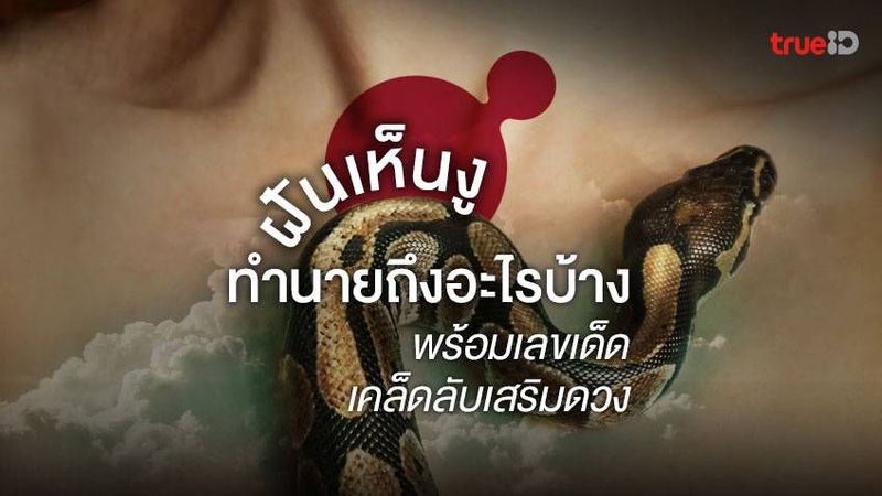 ฝันเห็นงู ฝันว่างูรัด ฝันเห็นงูใหญ่ อัพเดท 2565/2022 ทำนายฝันว่าอะไร เลขอะไร