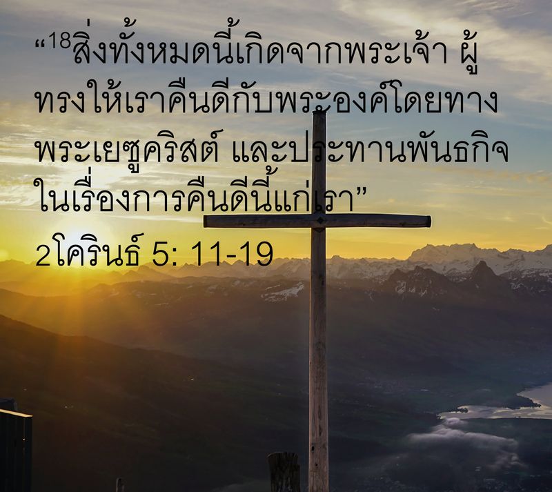 My Image 71