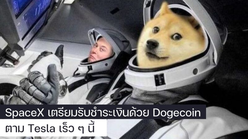 [Crypto Wolves] เพียงสี่เดือนหลังจากที่ผู้ผลิตรถยนต์ไฟฟ้า Tesla 💨เริ่ม ...