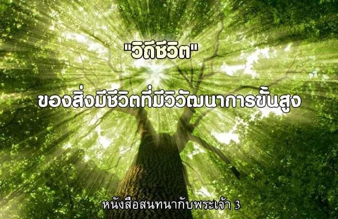 [หนังสือสนทนากับพระเจ้า] #87 เล่ม 3 บทที่ 20 หน้า 448 ~ 456