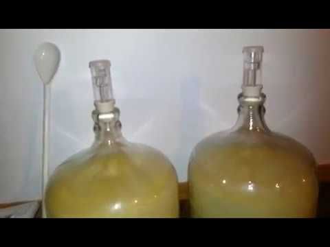 Making Durian Wine
