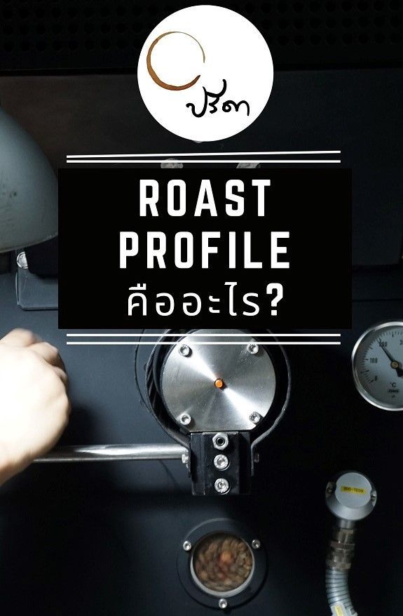 Roast Profile คืออะไร??? - preda-roastinghouse
