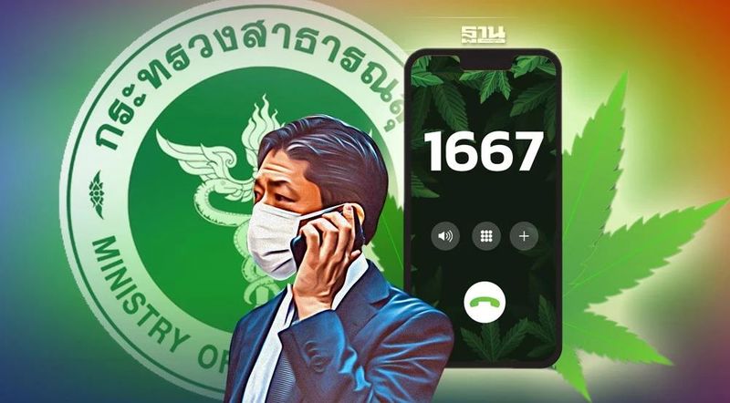 เปิดสายด่วน ”ปรึกษากัญ 1667″ ให้คำปรึกษาใช้กัญชาอย่างปลอดภัย