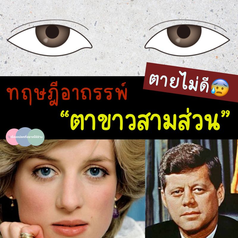 My Image 26