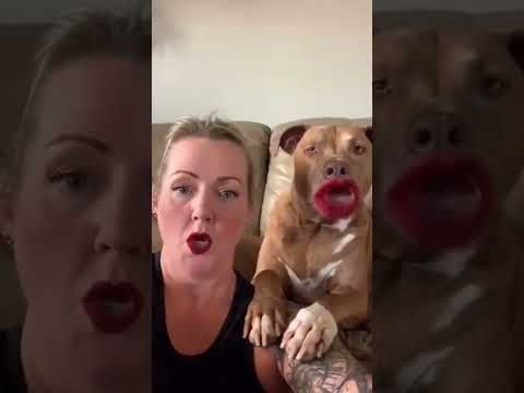 amazing 😍#shorts #Cute cats Animal video| Cute animal #tiktok #short #viral #youtubeshorts