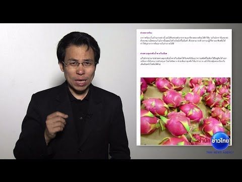 ชัวร์ก่อนแชร์ : แก้วมังกรสารพัดประโยชน์ จริงหรือ?