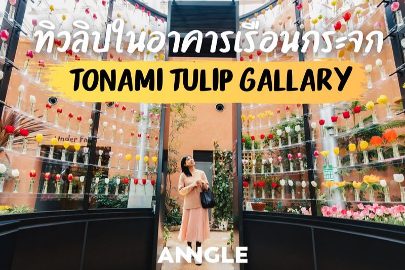 [ANNGLE ญี่ปุ่นในมุมต่าง] #ท่องเที่ยว ชมดอกทิวลิปแสนงดงามแบบไม่ต้องไป ...